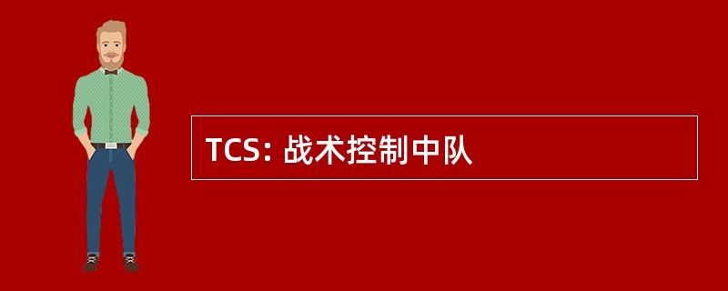 TCS: 战术控制中队