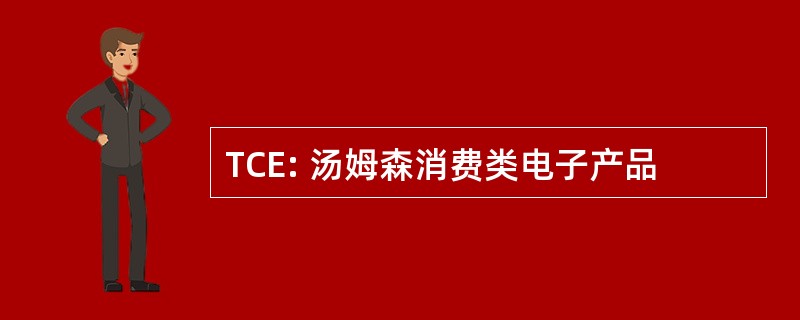 TCE: 汤姆森消费类电子产品