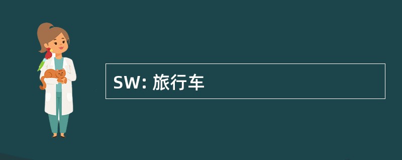 SW: 旅行车