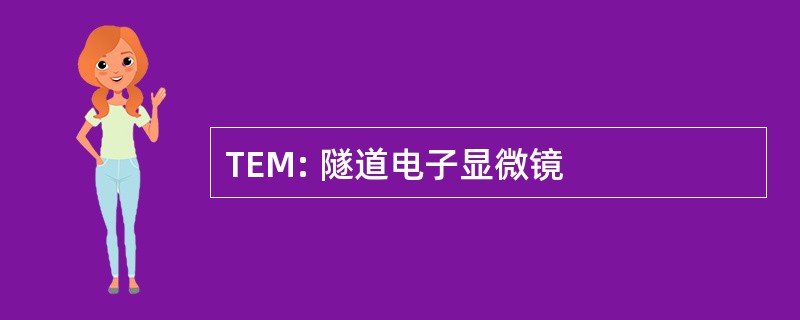 TEM: 隧道电子显微镜