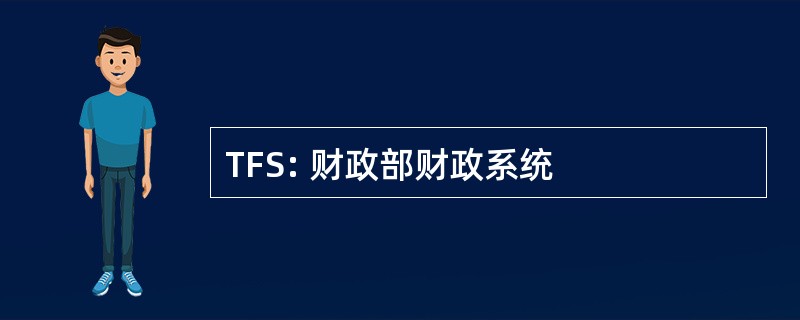 TFS: 财政部财政系统