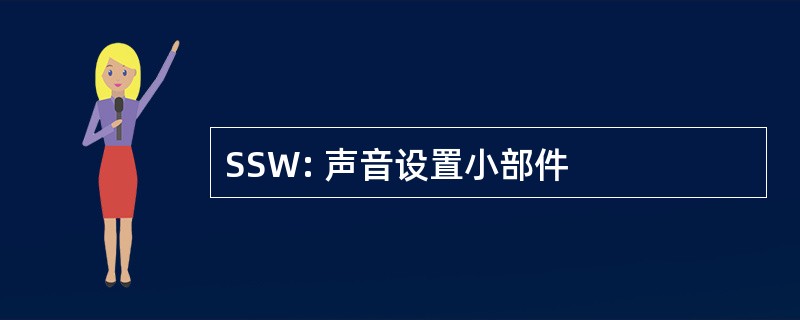 SSW: 声音设置小部件