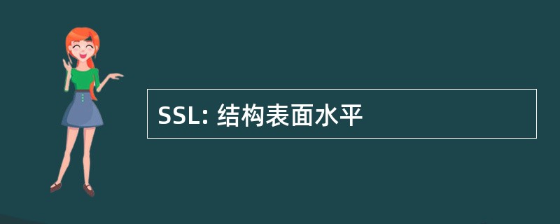 SSL: 结构表面水平