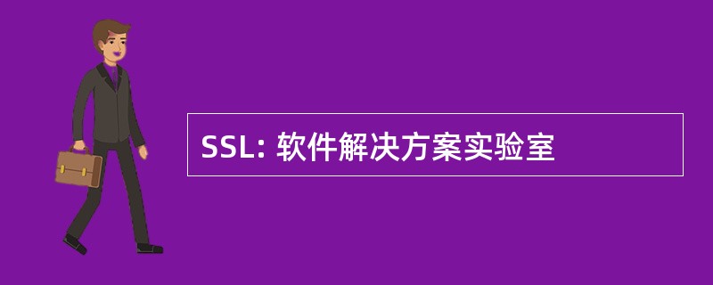 SSL: 软件解决方案实验室