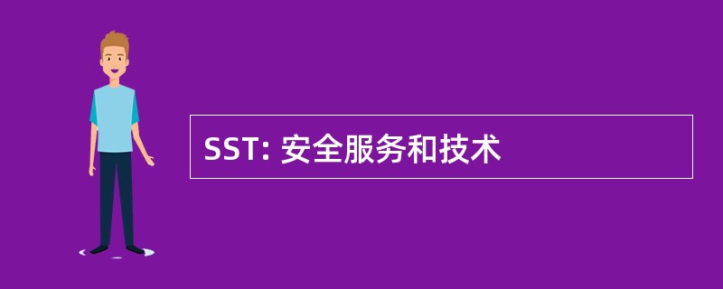 SST: 安全服务和技术