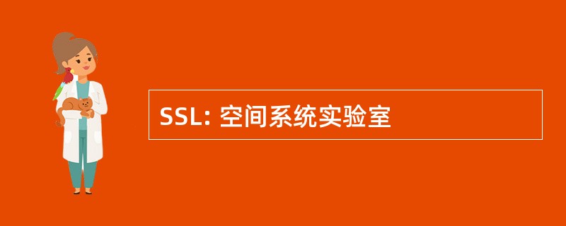 SSL: 空间系统实验室