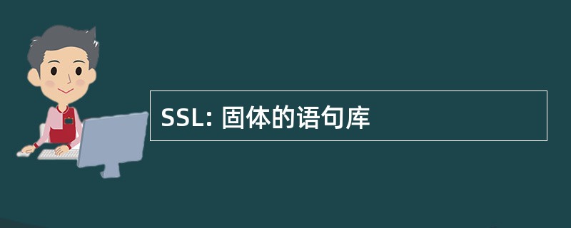 SSL: 固体的语句库