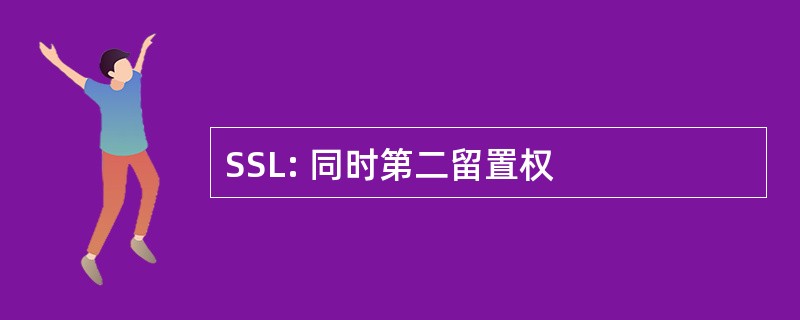 SSL: 同时第二留置权