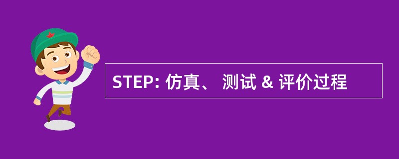 STEP: 仿真、 测试 & 评价过程