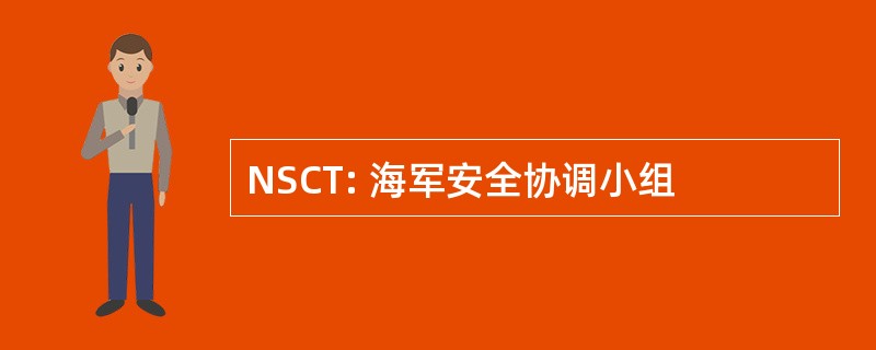 NSCT: 海军安全协调小组