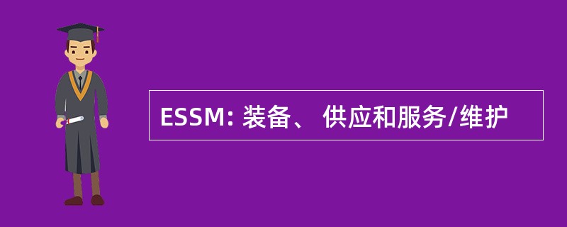 ESSM: 装备、 供应和服务/维护