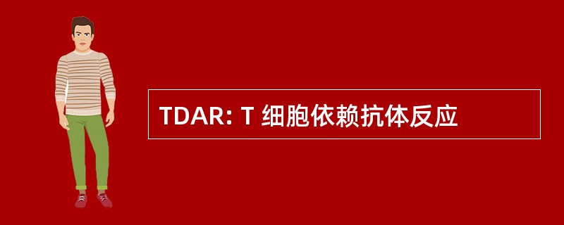 TDAR: T 细胞依赖抗体反应