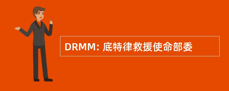 DRMM: 底特律救援使命部委