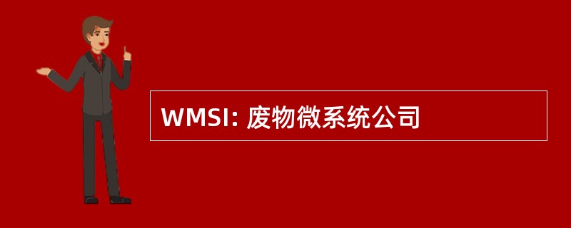 WMSI: 废物微系统公司