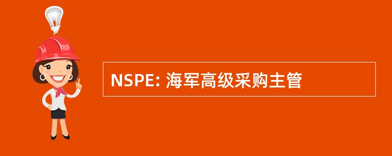 NSPE: 海军高级采购主管