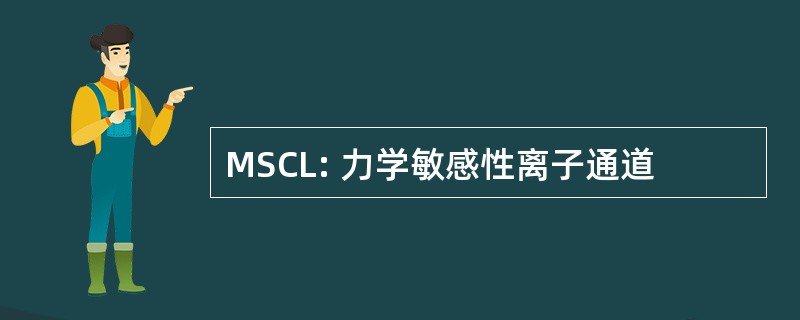 MSCL: 力学敏感性离子通道