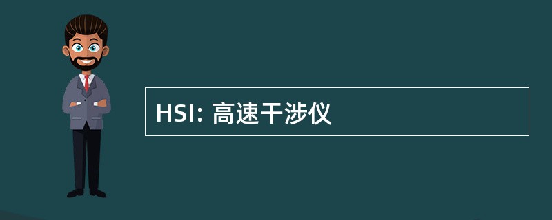 HSI: 高速干涉仪