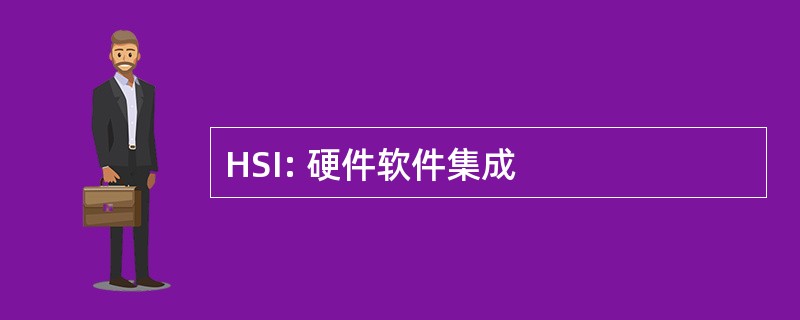 HSI: 硬件软件集成