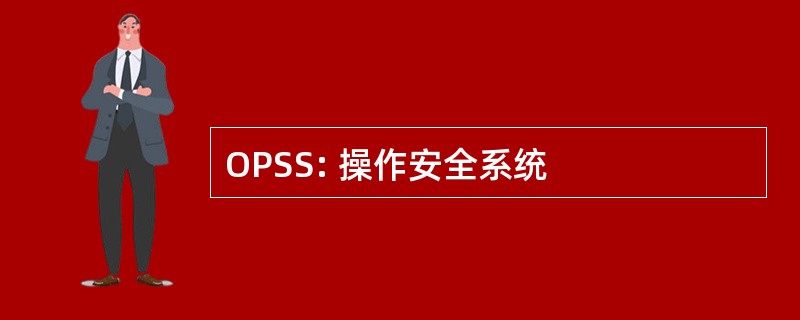 OPSS: 操作安全系统