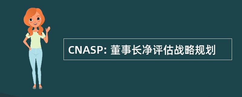 CNASP: 董事长净评估战略规划