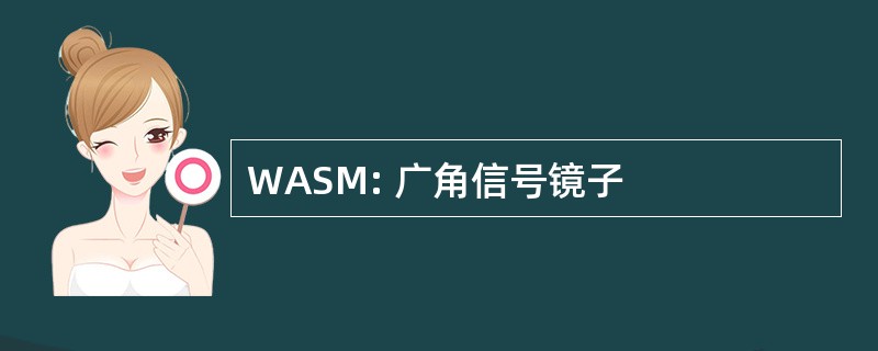 WASM: 广角信号镜子