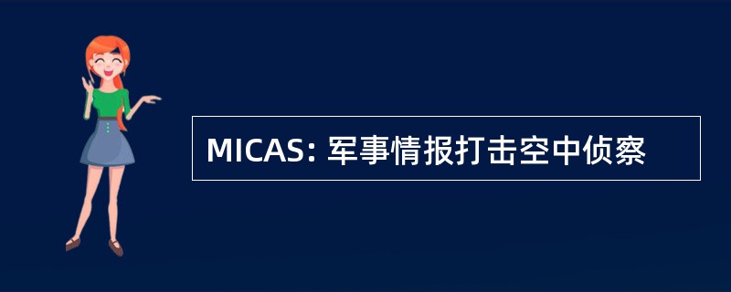 MICAS: 军事情报打击空中侦察