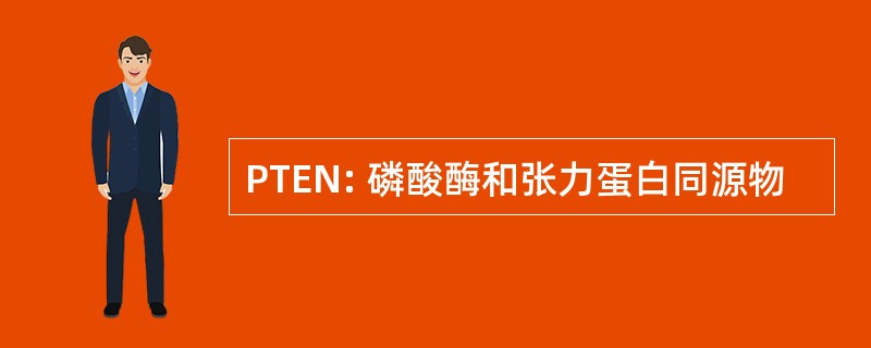 PTEN: 磷酸酶和张力蛋白同源物