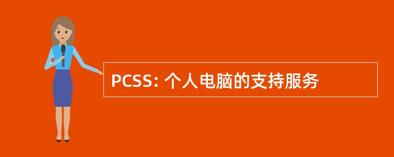 PCSS: 个人电脑的支持服务