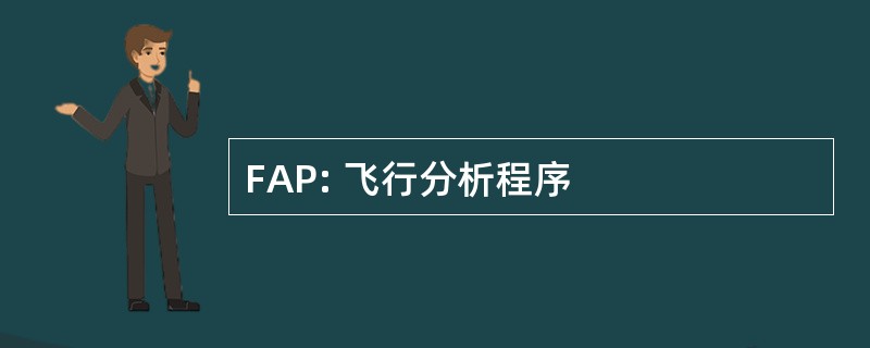 FAP: 飞行分析程序