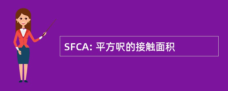 SFCA: 平方呎的接触面积