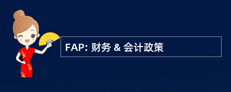 FAP: 财务 & 会计政策