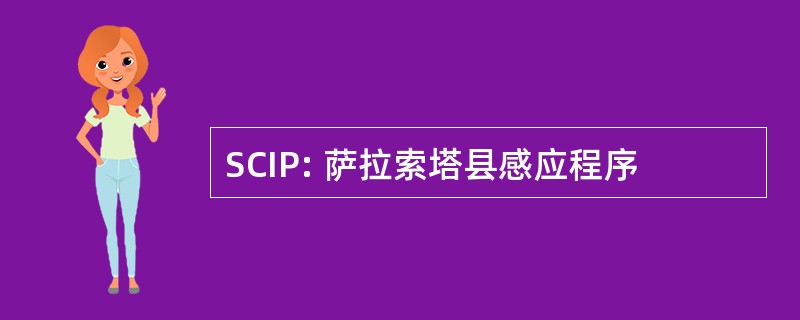 SCIP: 萨拉索塔县感应程序