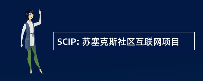 SCIP: 苏塞克斯社区互联网项目