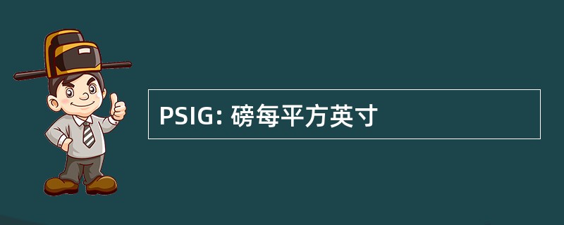 PSIG: 磅每平方英寸