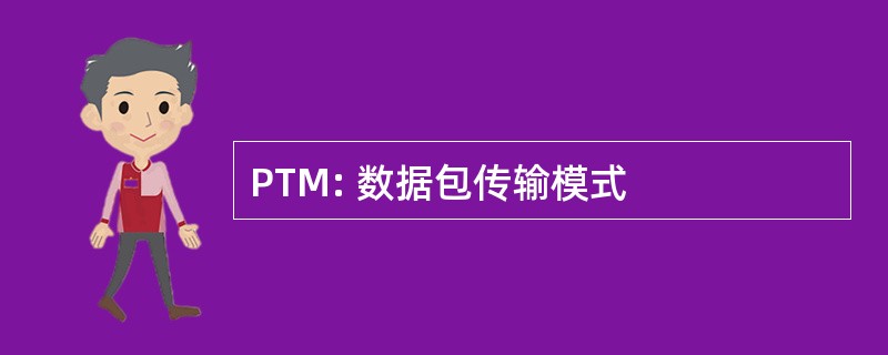 PTM: 数据包传输模式