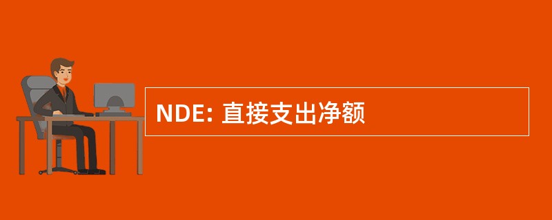 NDE: 直接支出净额