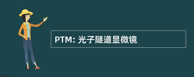 PTM: 光子隧道显微镜