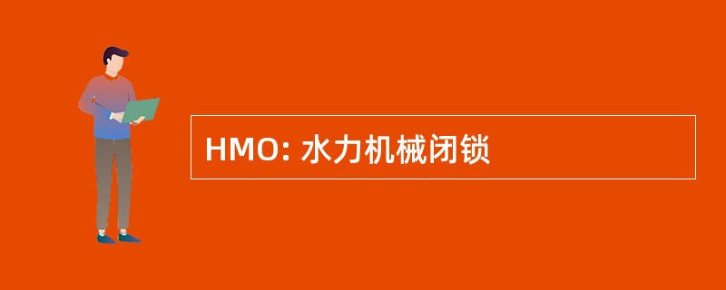 HMO: 水力机械闭锁