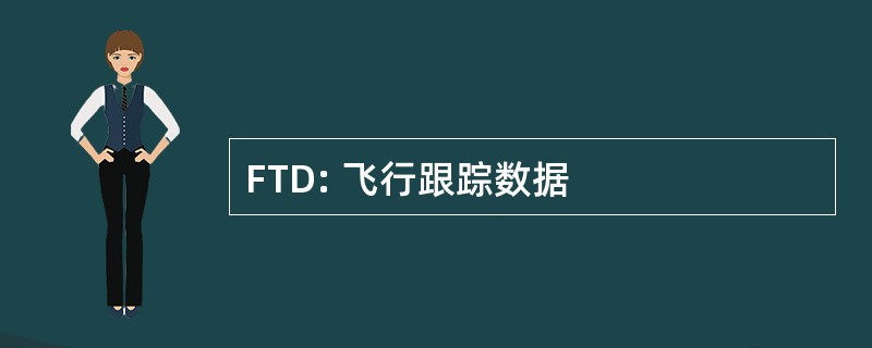 FTD: 飞行跟踪数据