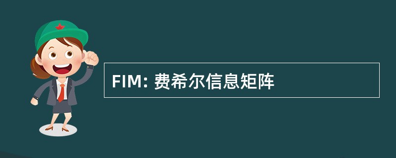 FIM: 费希尔信息矩阵