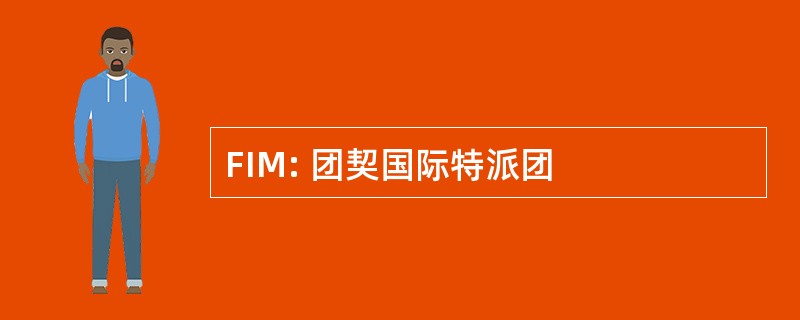 FIM: 团契国际特派团