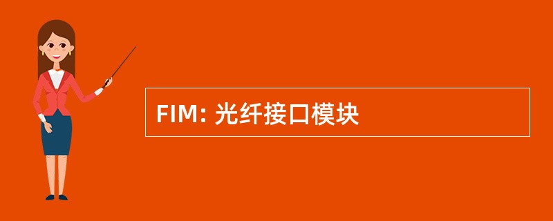 FIM: 光纤接口模块