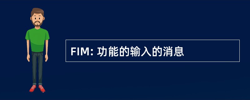 FIM: 功能的输入的消息