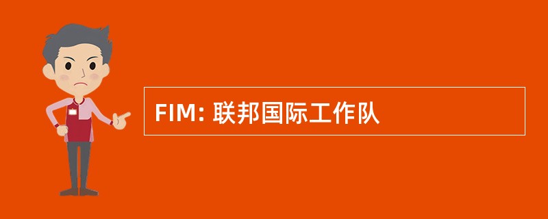 FIM: 联邦国际工作队