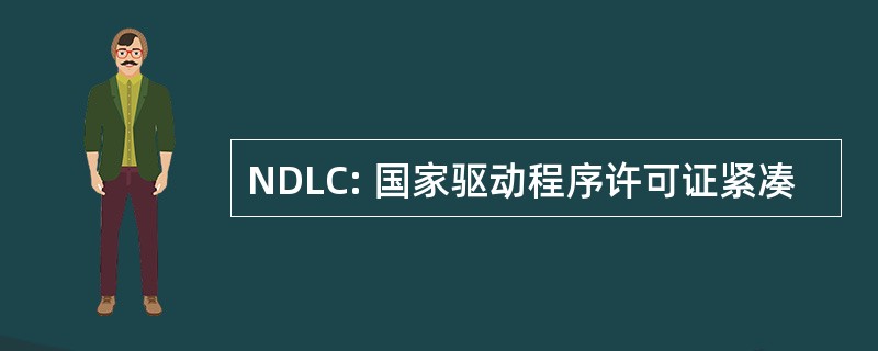 NDLC: 国家驱动程序许可证紧凑