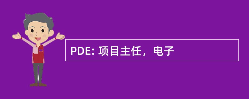 PDE: 项目主任，电子