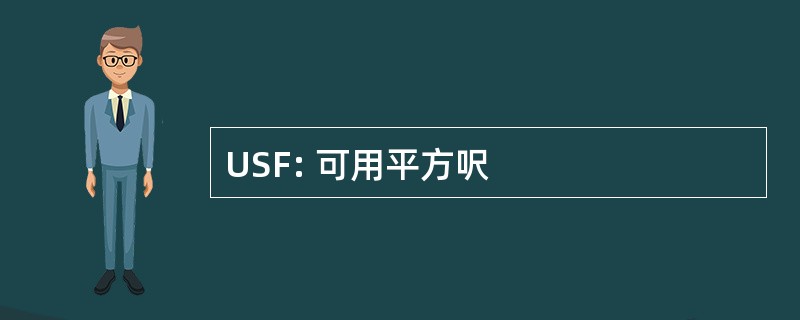 USF: 可用平方呎