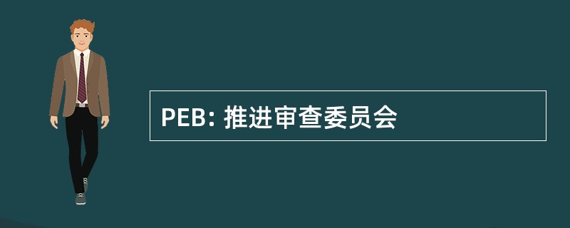 PEB: 推进审查委员会