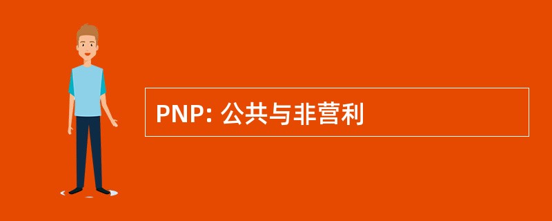 PNP: 公共与非营利