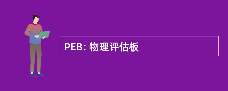 PEB: 物理评估板